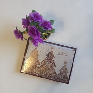 Season's Greetings Christmas Cards